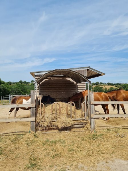 Domaine de Combelles centre équestre, équitation - photo 3
