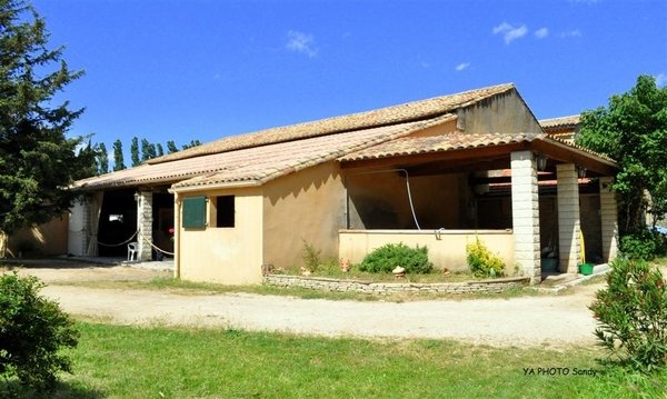 Centre Équestre Nîmes : Écurie du Phenix Nîmes