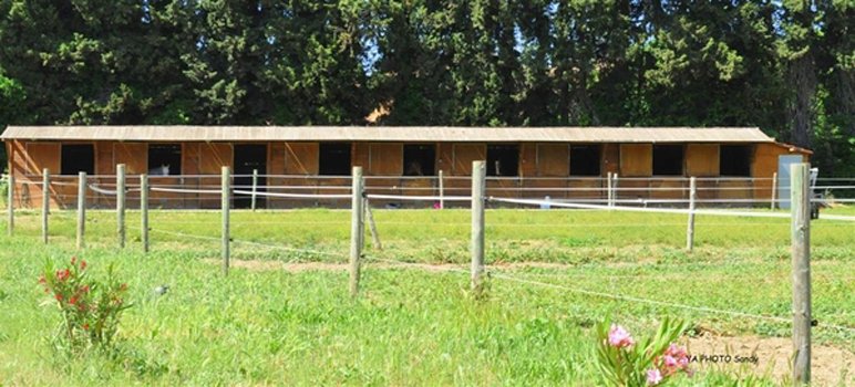 Centre Équestre Nîmes : Écurie du Phenix Nîmes - photo 2