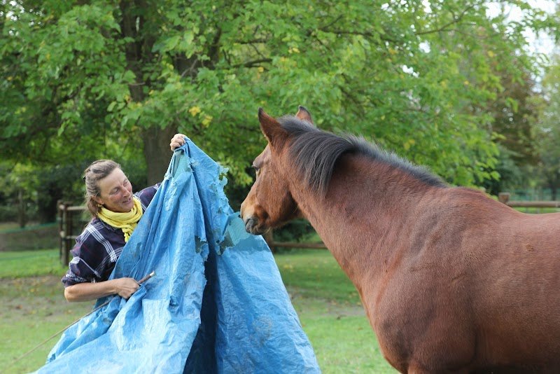 Ô Cheval - Brigitte Remillon - photo 3