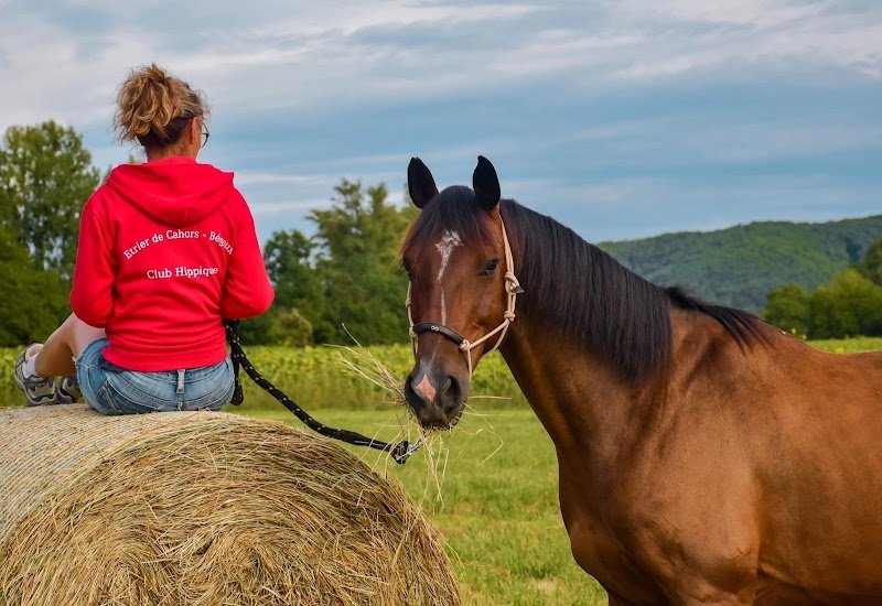 Centre équestre Etrier de Cahors-Bégoux - photo 2