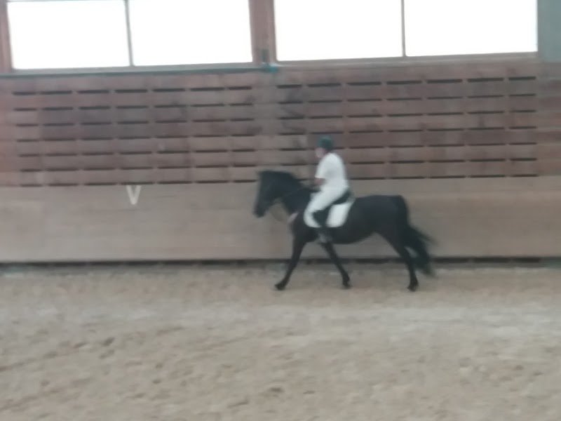 Mende Horse Club - photo 2