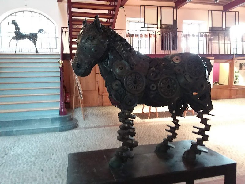 Haras de Tarbes - photo 2