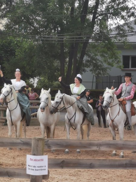 Festival Equestria Haras de Tarbes