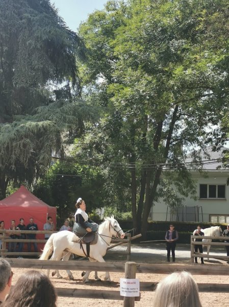 Festival Equestria Haras de Tarbes - photo 2