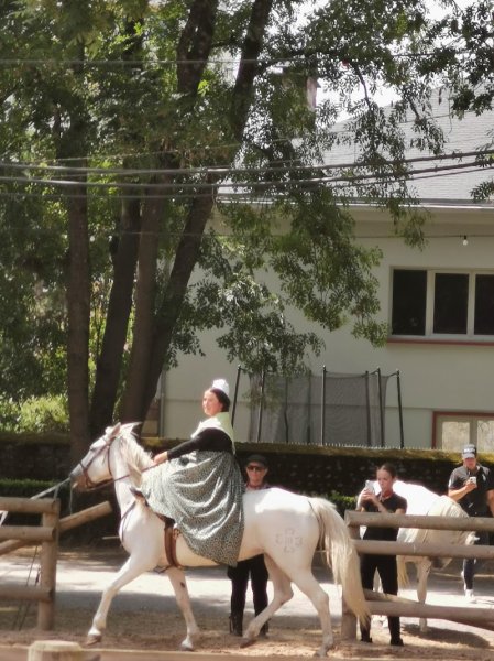 Festival Equestria Haras de Tarbes - photo 3