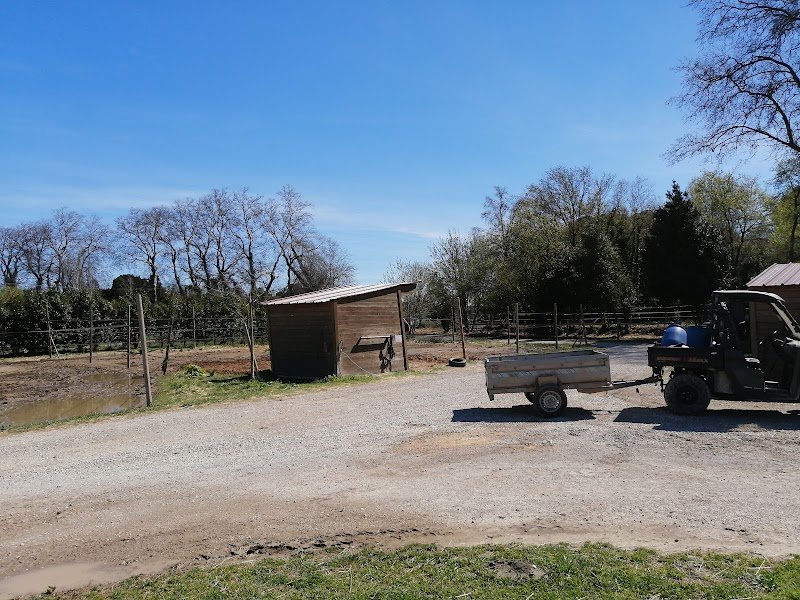 HARAS DEL VIVES - photo 2