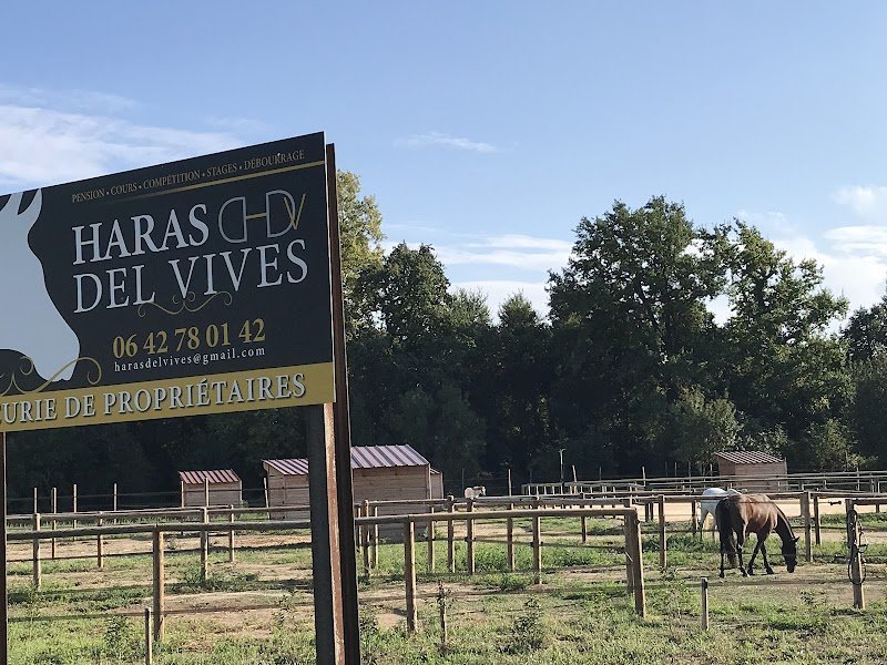 HARAS DEL VIVES - photo 3