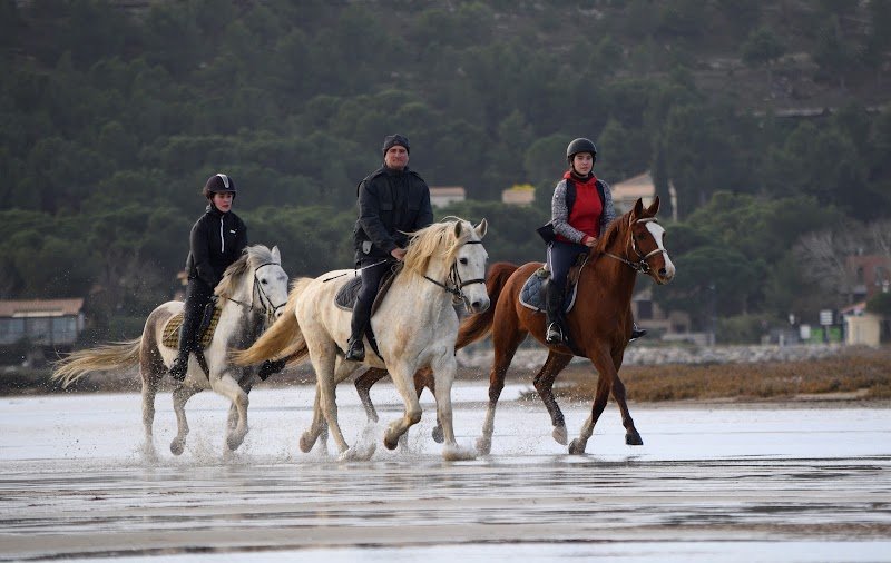 Les écuries de la Têt - photo 2
