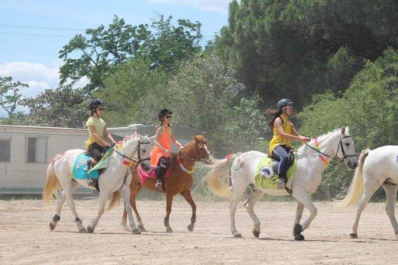 Les écuries de la Têt - photo 3