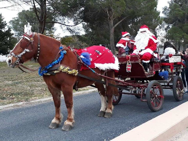 CENTRE EQUESTRE PERPIGNAN MAS BRESSON - photo 3