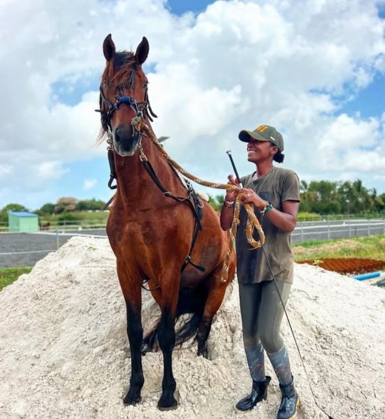 Haras du Soleil – Famille Desaulnier
