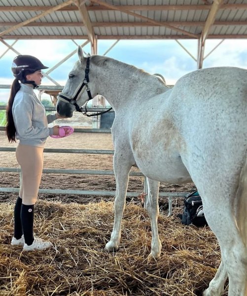 Haras du Soleil – Famille Desaulnier - photo 3