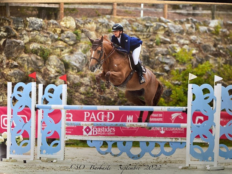 Les Ecuries du Gô - photo 2