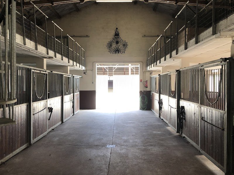 Les Ecuries du Gô - photo 3