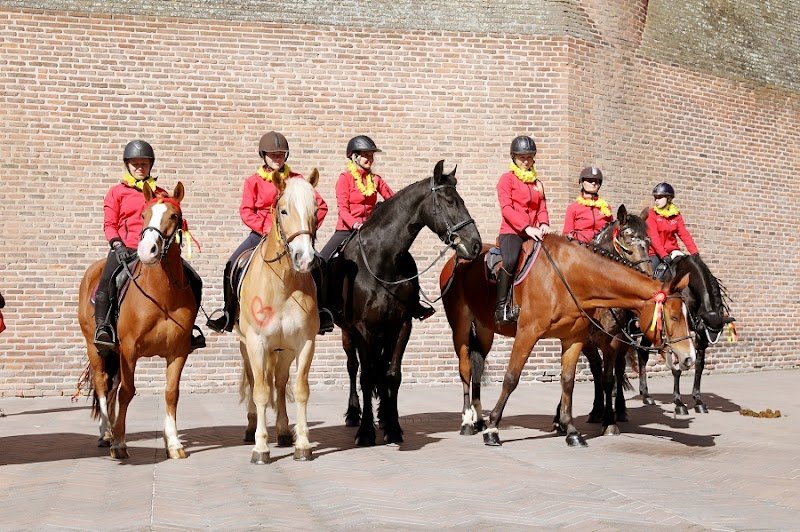 Centre Équestre Albigeois - photo 2