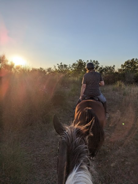 Centre Équestre Albigeois - photo 3