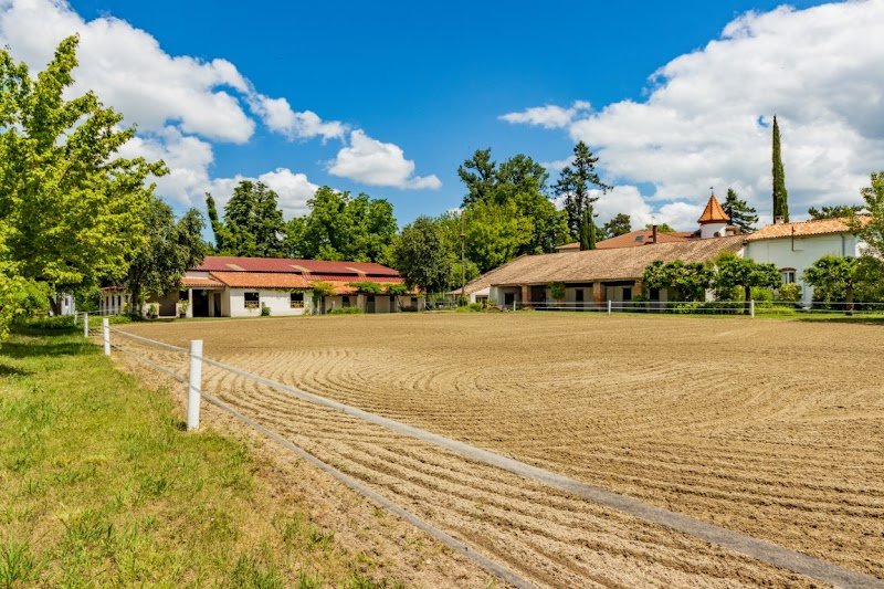 Haras d'albizia Écurie de propriétaire