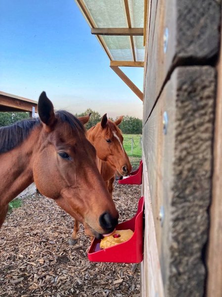 Les Écuries des 3 chênes