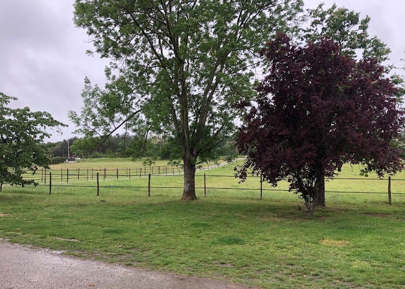 Les Ecuries de Sial - photo 2