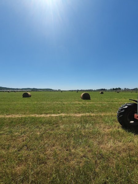 Haras de Monlau - photo 3
