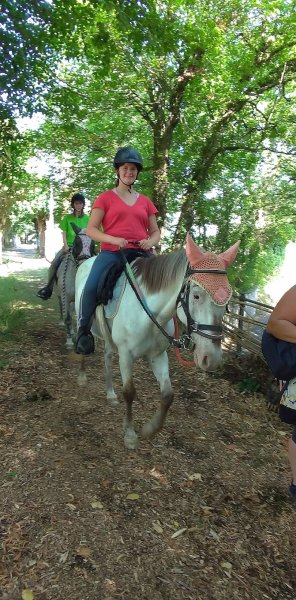 Handi Cheval Mayenne - photo 2