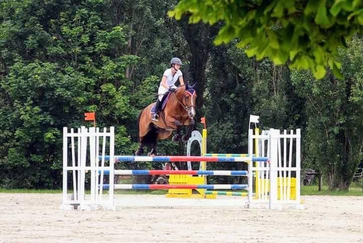 CENTRE EQUESTRE DE VIARMES - photo 2