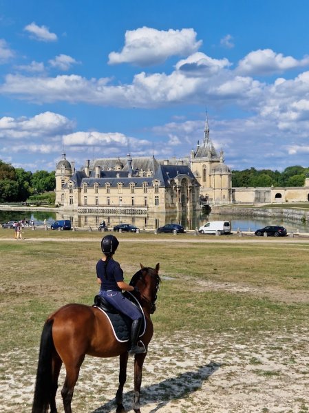 Écurie Lamorlaye Équestre - photo 3