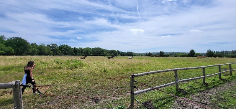 ECURIE DES 2N LAMORLAYE - photo 1