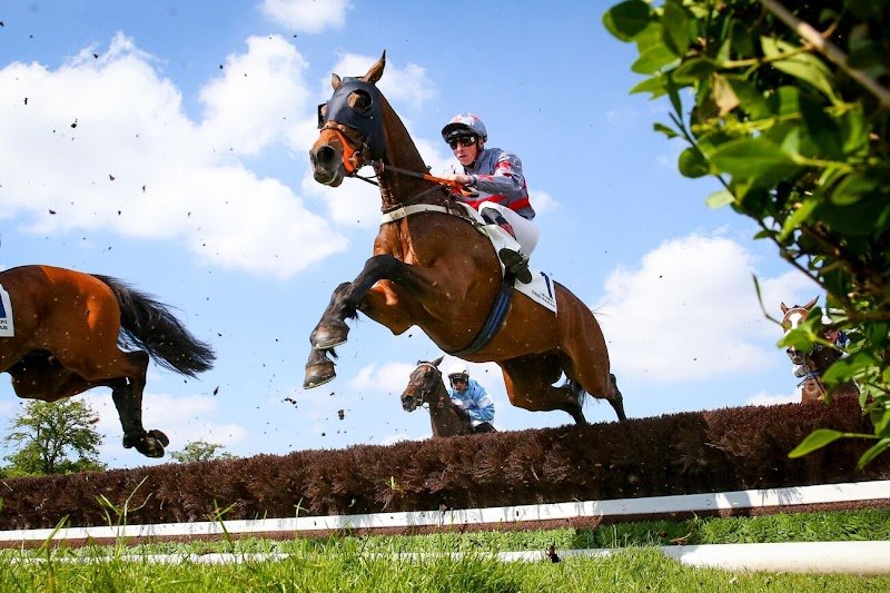 Ecurie Hugo Merienne - photo 2