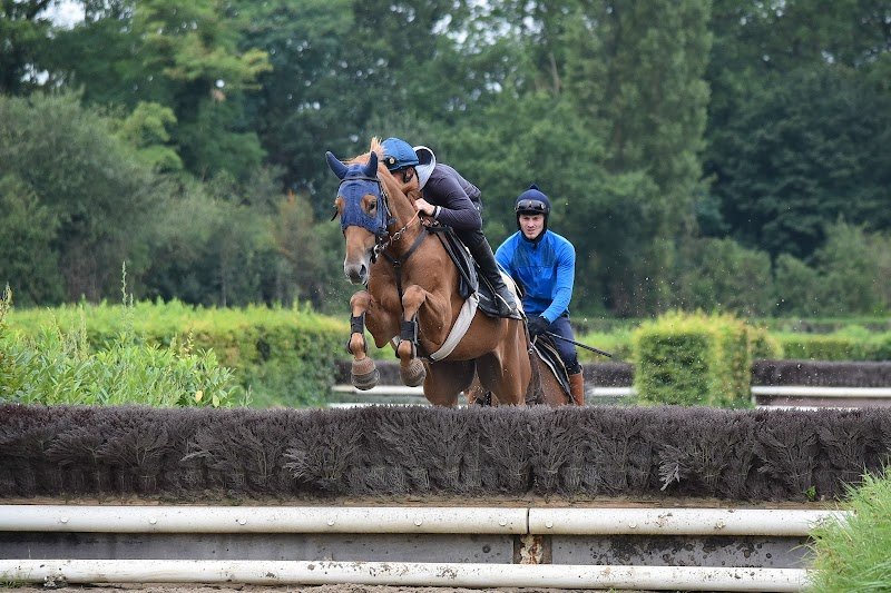 Ecurie Hugo Merienne - photo 3