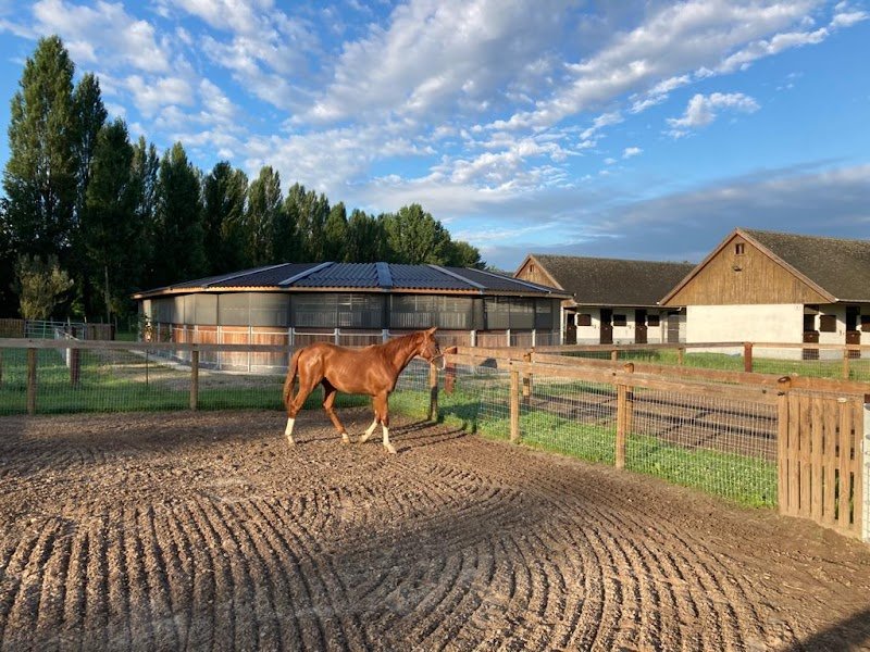 HORSE HOTEL - photo 2