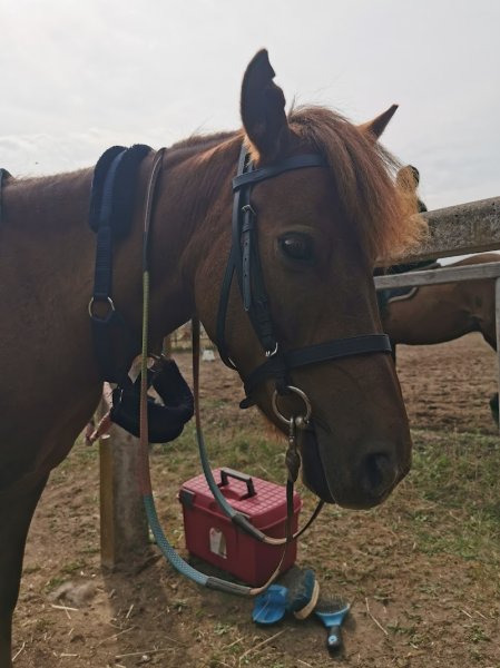 CERCLE HIPPIQUE DE GOUVIEUX - photo 3