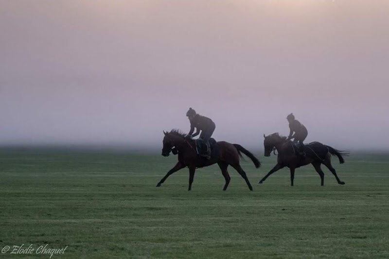 Ecurie Gavin Hernon - photo 1