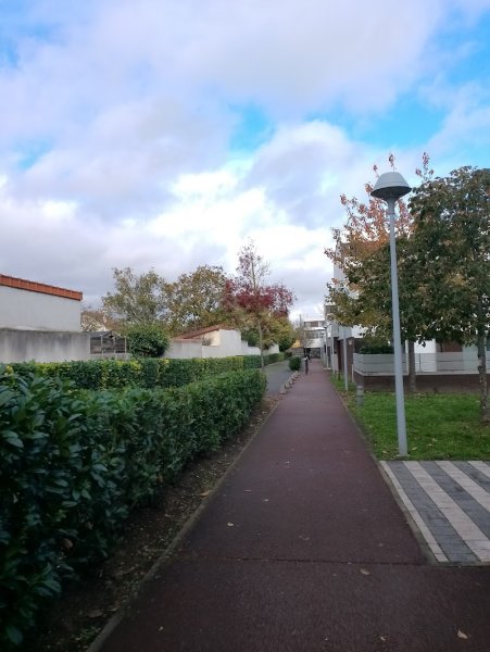 A C B B PONEY - photo 2