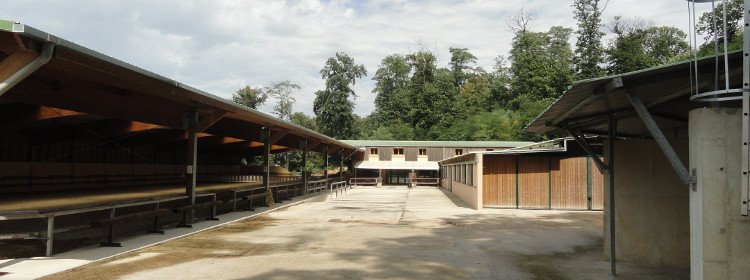 Centre Équestre & Poney Club Equivil de Chaville