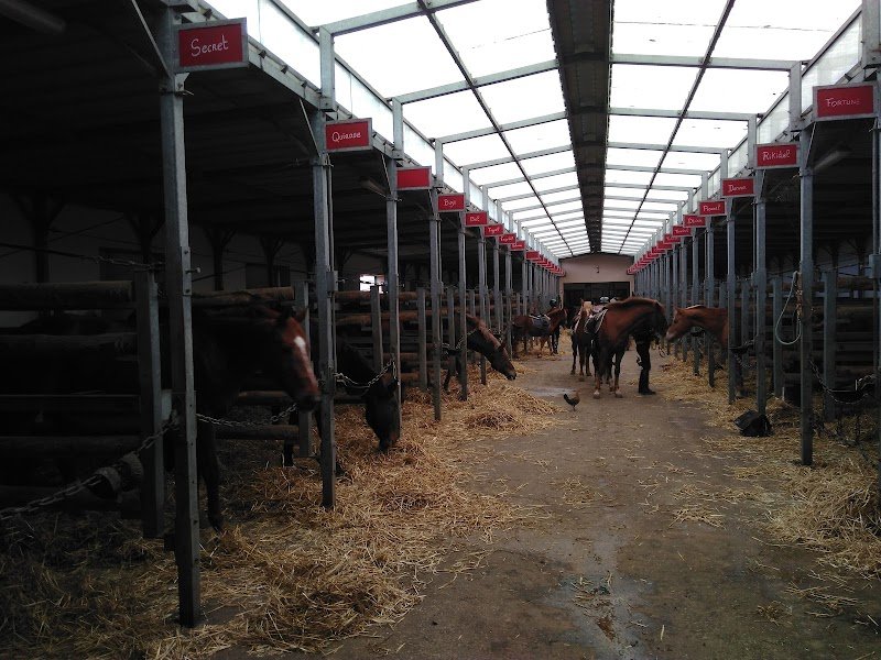 Centre Équestre & Poney Club Equivil de Chaville - photo 2