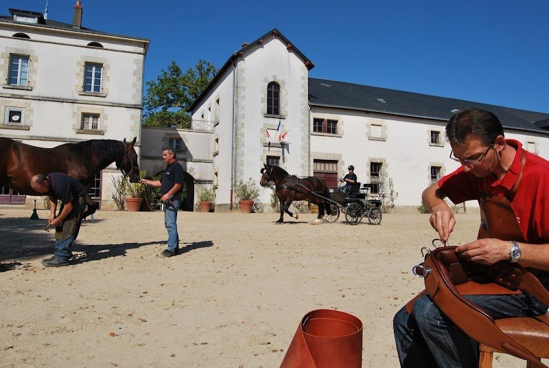 Haras National de La Roche-sur-Yon - photo 1