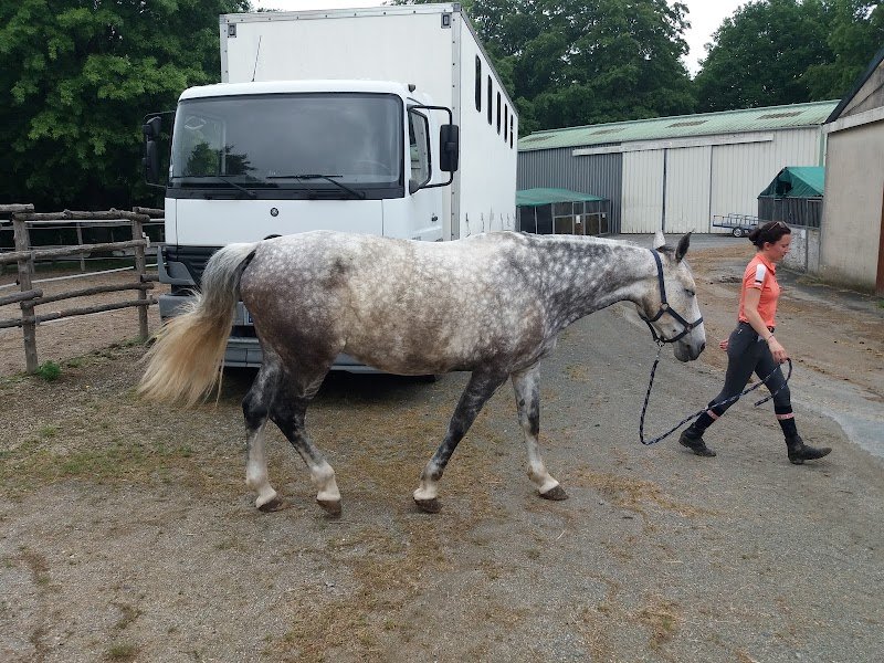 Centre Equestre S.H.Y - photo 2
