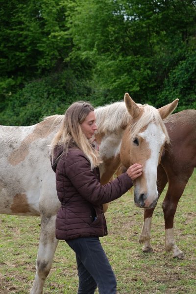 Centre équestre des Etablières - photo 3