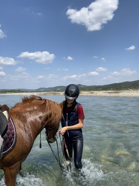 Centre Equestre Le Pilon - photo 3