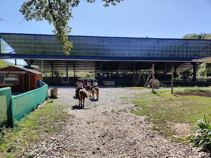 Ecuries de la Luye - photo 2