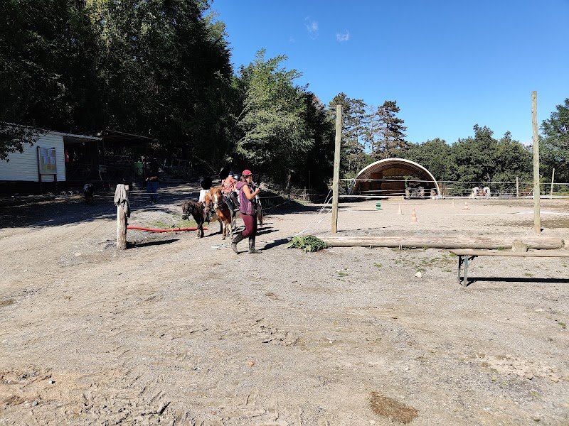 Ecuries de la Luye - photo 3