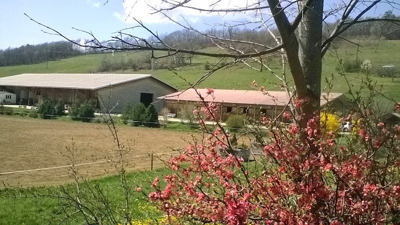 Ecurie Ory Degomme - photo 3