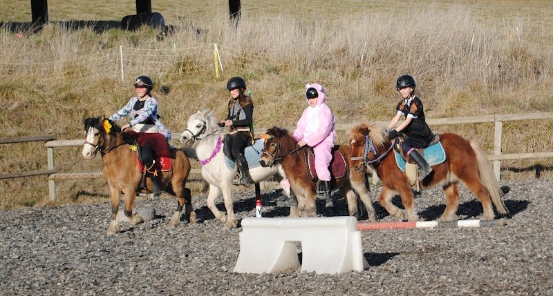 Poney Club & Elevage de La Gardiole - photo 2