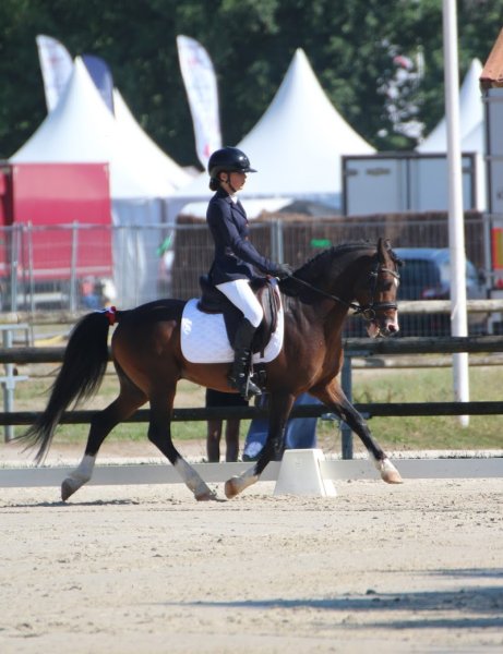 Poney Club & Elevage de La Gardiole - photo 3