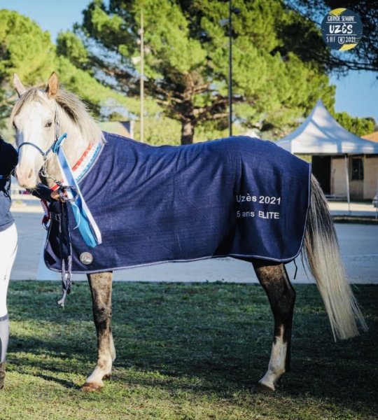 Ecurie Maury - photo 1