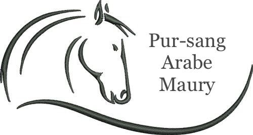 Ecurie Maury - photo 2