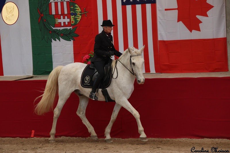LES CHEVAUX DU LAC - photo 2