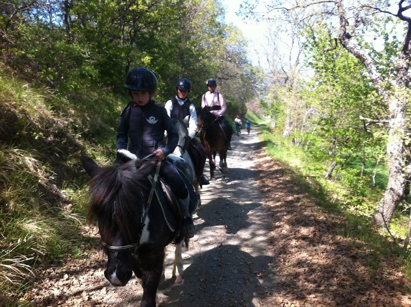 Poney Club de Pelleautier - photo 2